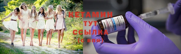 дмт Дмитровск