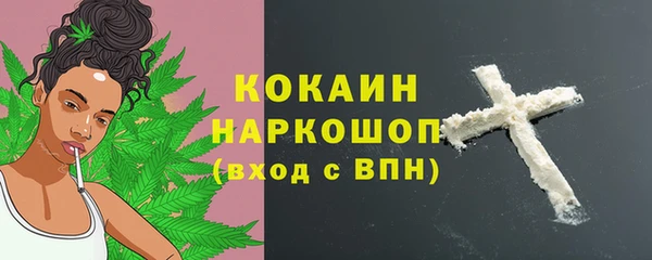 гашик Дмитриев