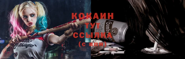 дмт Дмитровск