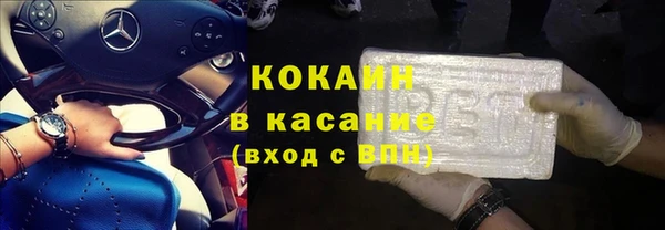 гашик Дмитриев