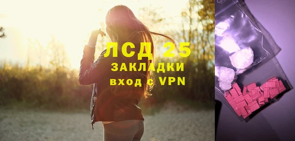 гашик Дмитриев