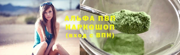 гашик Дмитриев
