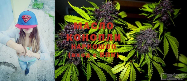 дмт Дмитровск