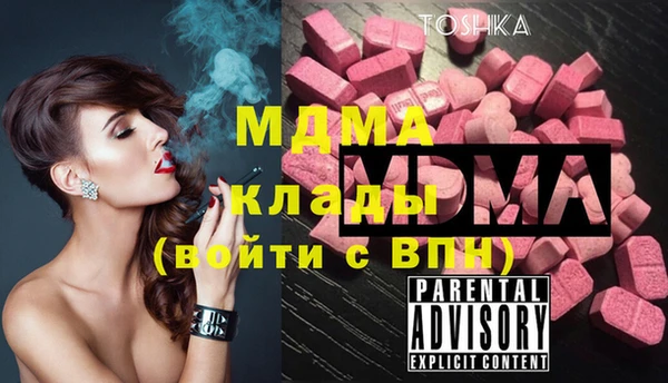 apvp Ельня
