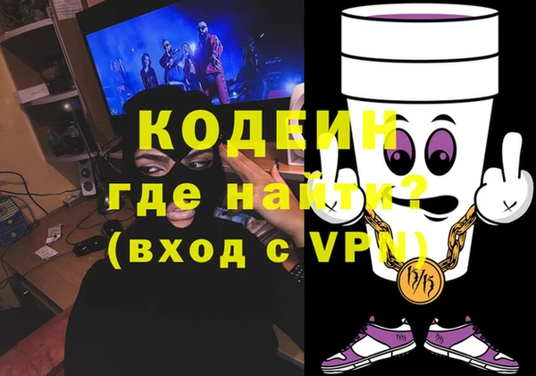 гашик Дмитриев