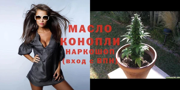 дмт Дмитровск