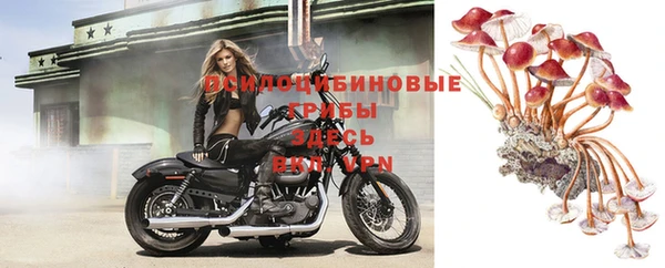 MDMA Дмитров